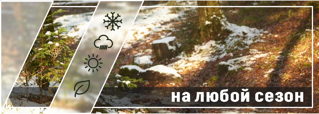 на главную2